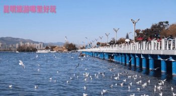 昆明旅游哪里好玩？都是有哪些比較好玩的地方？、