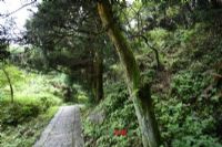 萬馬河生態保護區、