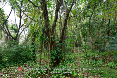 <b>寶豐村寶象庵</b>、