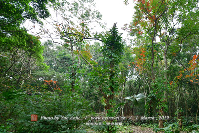 永豐村永豐庵、